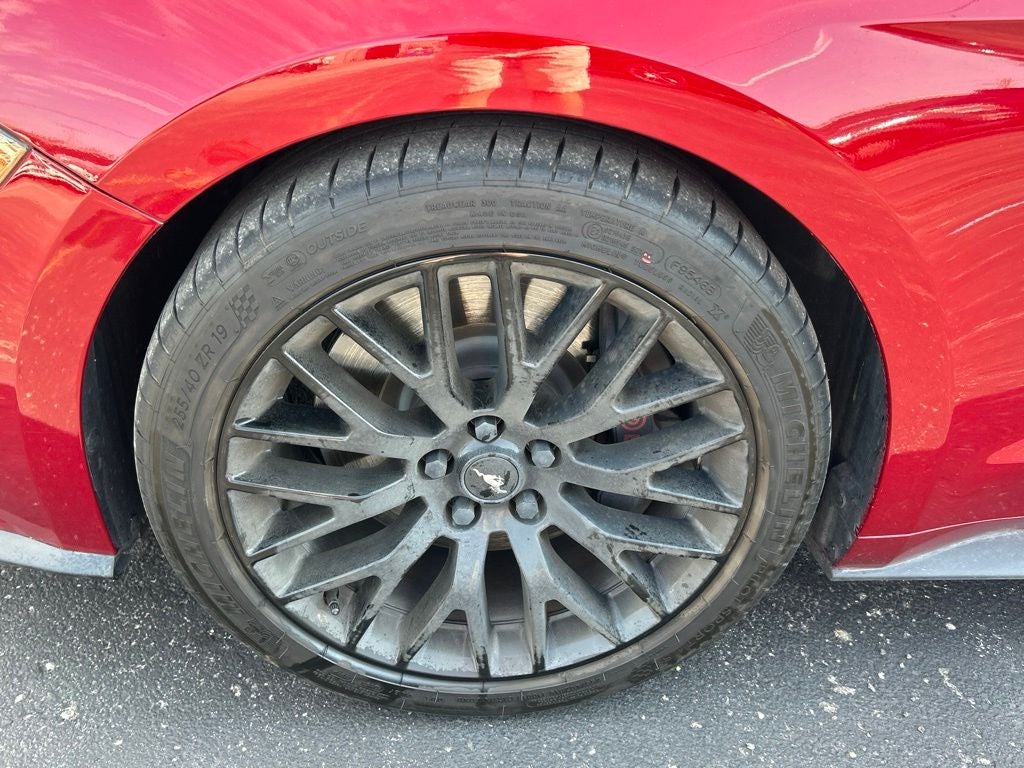 2019 Ford Mustang GT Premium