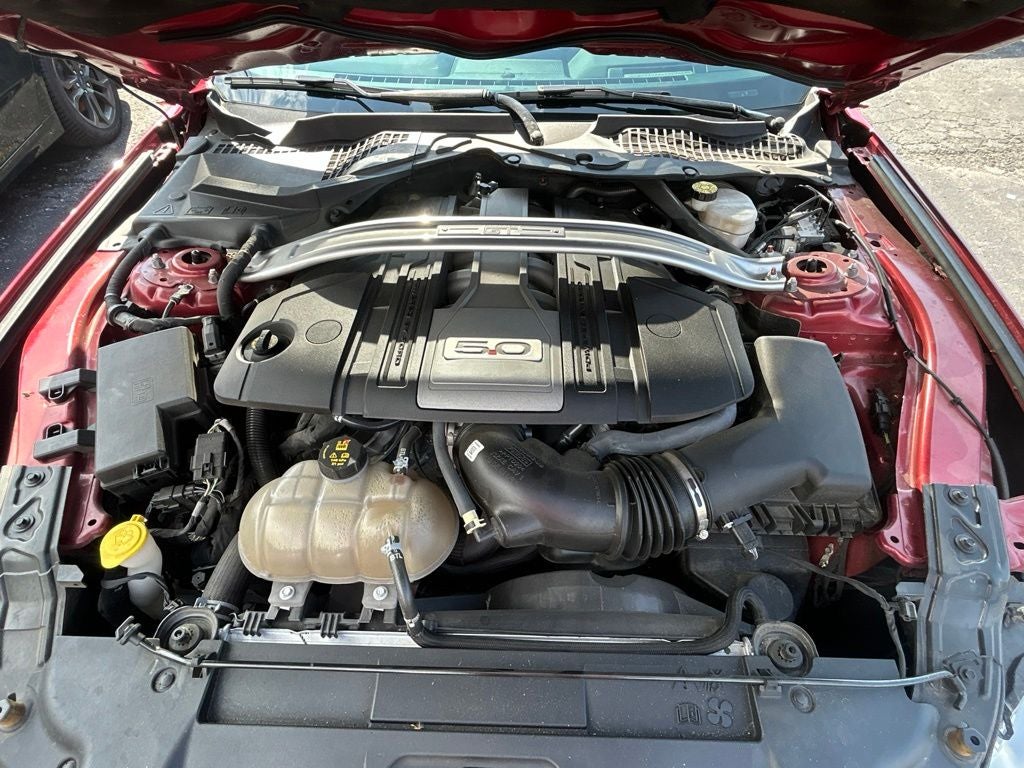 2019 Ford Mustang GT Premium