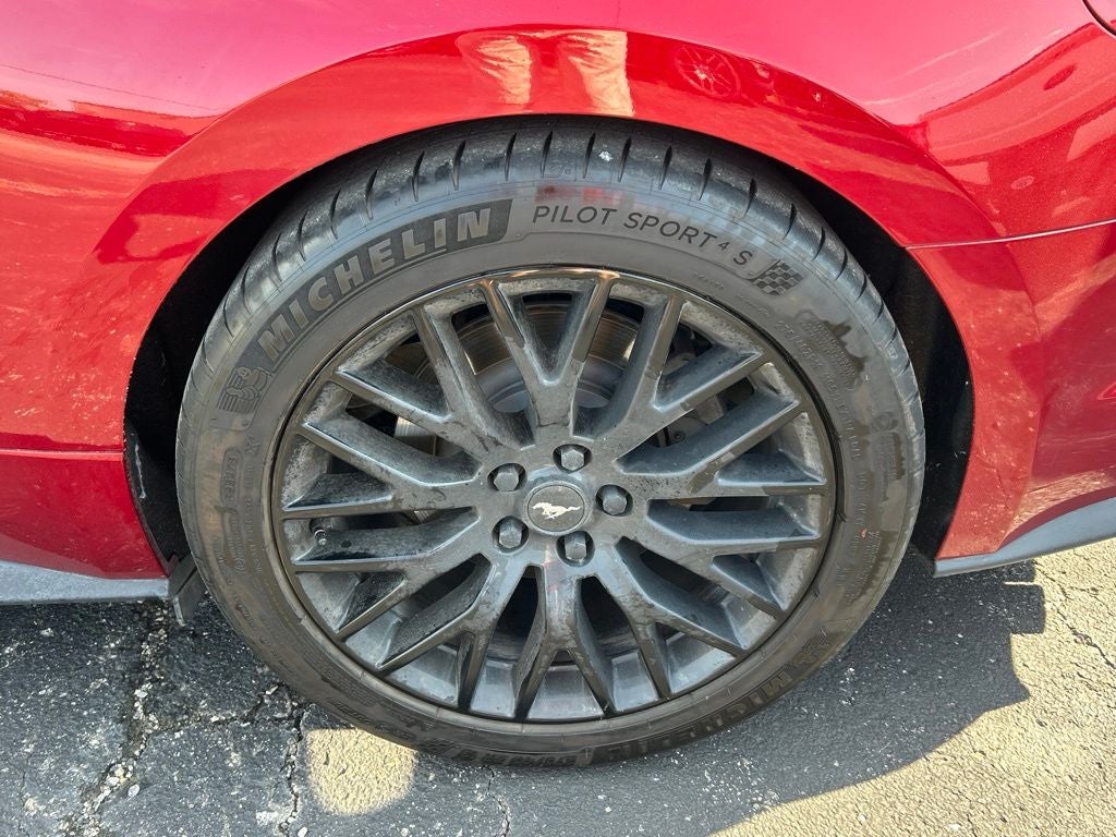 2019 Ford Mustang GT Premium