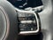 2024 Kia Carnival SX